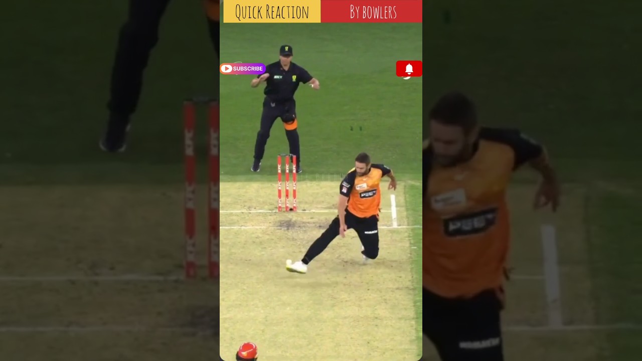 Top 5 Runout by Bowler 2025💥 | Quick Runout by Bowler 