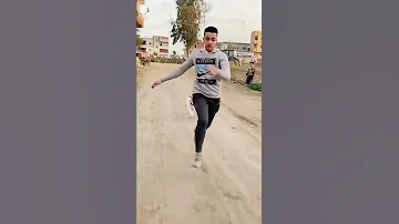 الكلب الشرس 