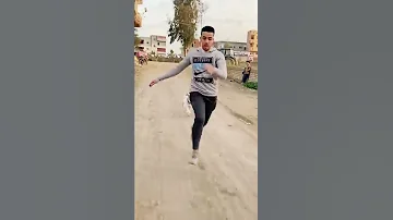 الكلب الشرس 