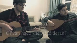Ciwan Haco - Te Zu Tê Deranî