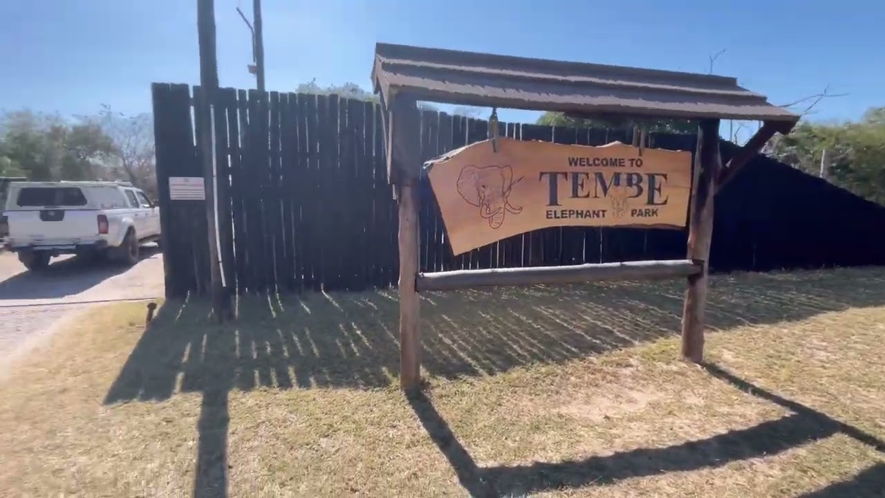 Tembe Elephant Park entry requirements 