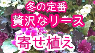 おうち時間を華やかに【リース型寄せ植え】冬の定番！ガーデン
