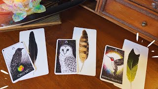 This Message is meant to find you today! Pick a Bird 📜🪶for Your Immediate Guidance