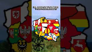 Flags of Polish Voivodeships 🇵🇱 #2025 #europe #geography #history #map #mapping #youtube #maps