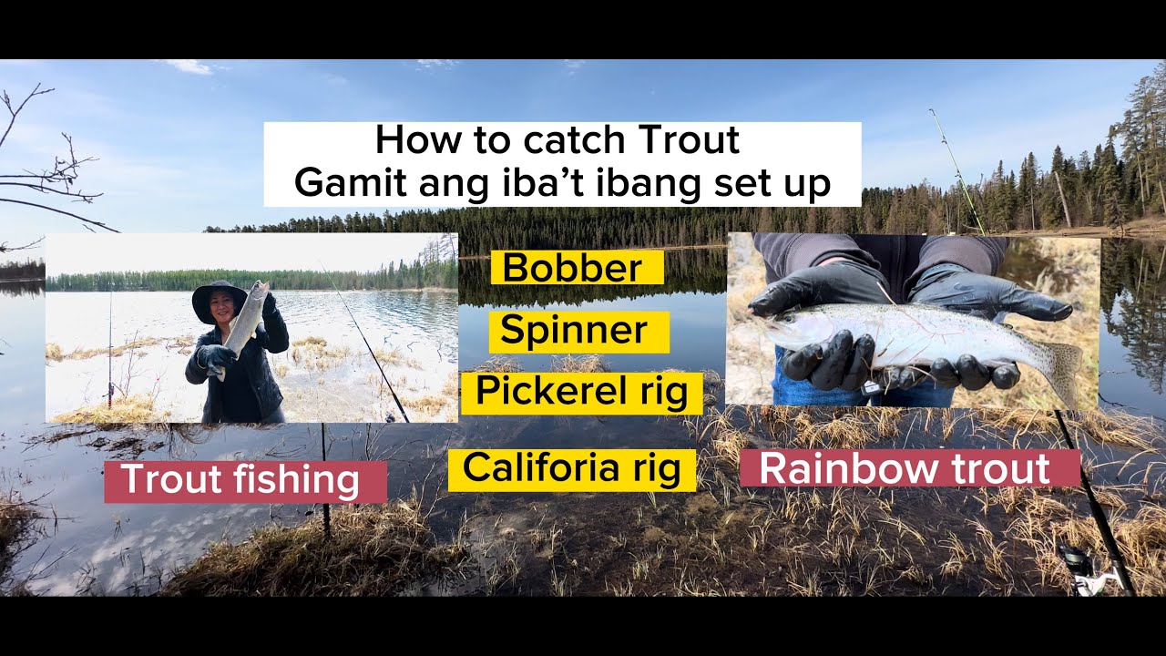 How to Catch Rainbow Trout Gamit ang Ibaibang Trout Fishing Set up