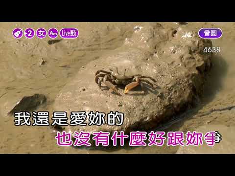 大女人~張宇~女Am調~伴奏~導唱丙