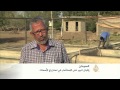 إقبال كبير على الاستزراع السمكي