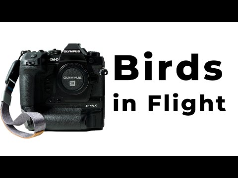 Olympus E-M1X new firmware - [BIRD AF]