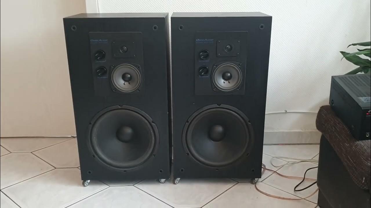 Omni Audio Saund System SA 12.3 YouTube