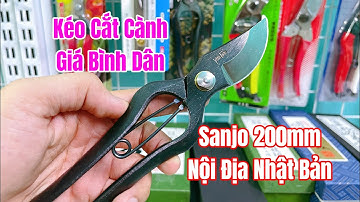 [ Tập 1014 ] Kéo cắt cành thép đúc Giá Bình Dân Sanjo 200mm nội địa Nhật Bản