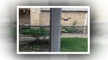 How to find Lake scugog real estate listings