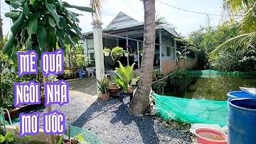 Tập 1522 : Làm ăn khó khăn đành nhường lại nhà vườn rất đẹp ở Tiền Giang