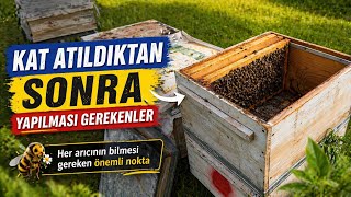 Yeni Arıcılar Sonuna Kadar Izlesin. Kat (Ballık) Atıldıktan Sonra Yapılması Gereklı Ilk Işlemler.