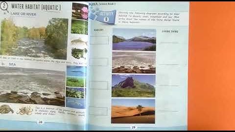 PVI SCIENCE LESSON # 28 (CHP-2 ACTIVITY 9,10,11) (PART 2) Dated: 17/6/2020