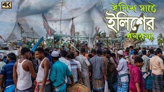 আহারে ইলিশ, সস্তা ইলিশ, ইলিশ ঘাটে ইলিশের রমরমা/ Hilsa marketing in landing station #Balaram_Mahalder