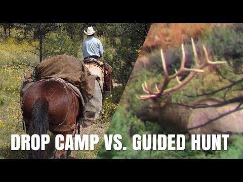 Constant Quest Outfitters Reviews