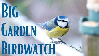How to Take Part in the Big Garden Birdwatch | RSPB UK
How to participate in the worlds largest wildlife survey, the Big Garden Birdwatch. Join me in my garden to see what bird species we get in Perthshire Scotland.
Join Here:
https://www.rspb.org.uk/get-involved/activities/birdwatch/
Support me on Patreon: https://www.patreon.com/espenhelland
On Patreon, you can get access to a growing library of content to help you with your wildlife photography journey 🐾 📷
Curious about the gear I use? https://espenhelland.com/gear/
I use Topaz DeNoise & Sharpen AI to improve my images, get a 30-day free trial): https://topazlabs.com/shop/ref/383/
Watch a Video on Removing Noise using DeNoise AI: https://youtu.be/ZOZckl9JMiA
Music from Epidemicsound:
https://www.epidemicsound.com/referral/pahgo4/
You can connect on:
Instagram: https://instagram.com/espenhelland/
Facebook: https://www.facebook.com/espenhellandphotography/
Twitter: https://twitter.com/EspenHelland7 How to Take Part in the Big Garden Birdwatch | RSPB UK
