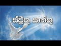 Sinhala Geethika | Sprinthu Santhu | ස්ප්‍රීතු සාන්තු | Holy Spirit Hymn | Lyrics