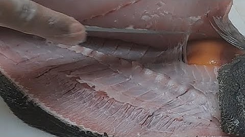 Satisfying Filleting Fish | How To Sole Fish Fillet |  Fish Cutting Skills 