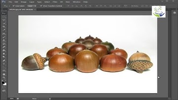 How to use Lasso Tools & Quick Selection Tools : Adobe Photoshop CS6 Tutorial 3 : Full Course