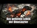 Die geheime Evolution der Dinosaurier enthüllt