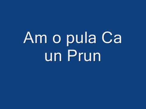 Am o pula ca un prun - parodie