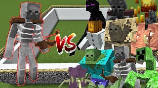Mutant Skeleton vs All Mutant Mob [Minecraft Mob Battle]