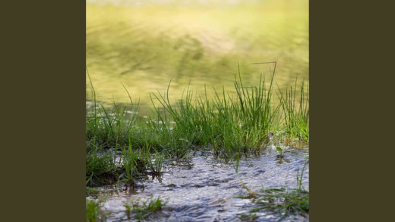 Sari Srashti ke Malik