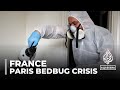 What is Paris doing to solve the bedbug crisis ahead of 2024 Olympic games?