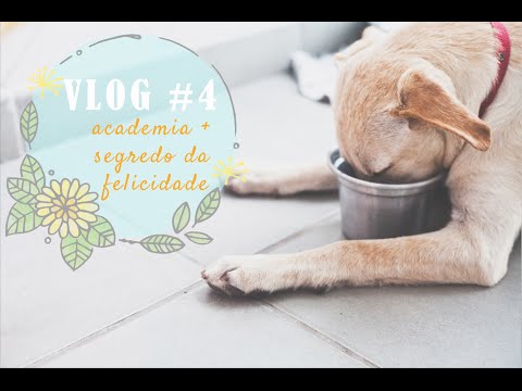 VLOG #4: Academia de Sábado + Segredo da Felicidade | por Isa Ribeiro - Na nossa vida