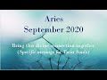 ARIES SEPTEMBER 2020 - Bring this divine connection together. (specific msg for twin souls)