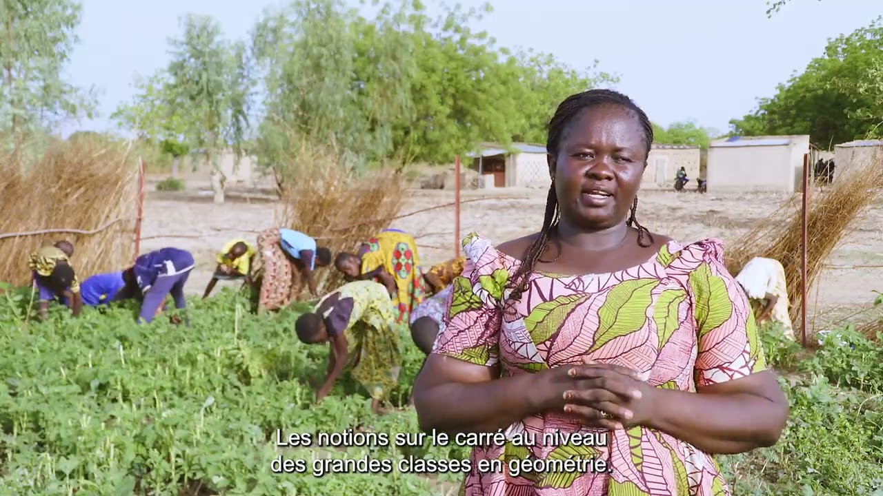 SANYSANU : l' approche 