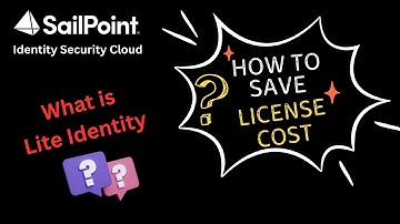 What is Light Identity in SailPoint ISC