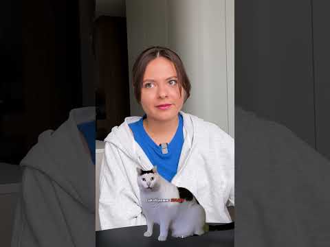 Сколько стоит мой стаф #shorts