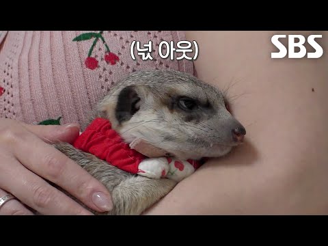 창덕이만을 위한 <strong>놀이터로</strong> 식탐 없애는 건강 디톡스!