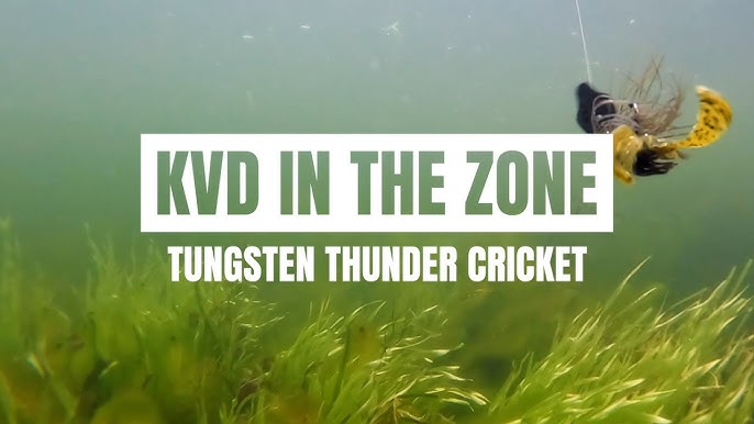 The right trailer for your Thunder Cricket! 