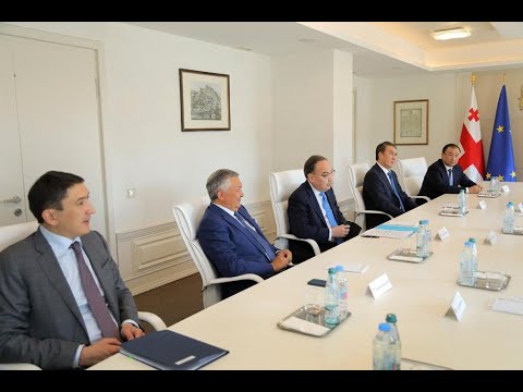 შეხვედრა ყაზახეთის დელეგაციასთან