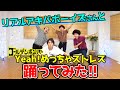 ブレイクダンスよりキツい!? REAL AKIBA BOYZさんと「Yeah!めっちゃストレス」踊ってみた