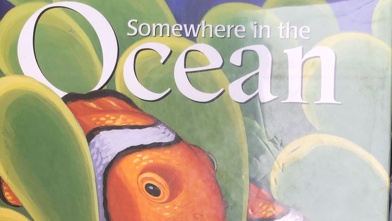 Somewhere in the Ocean A BEACH Book Review YouTube