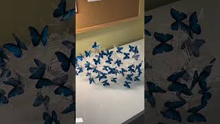 Букет из бабочек для заказа 0779728200