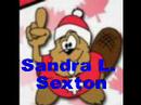 Sandra L. Sexton-The Clever Canuck-author interview