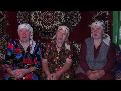 Посадила розу в