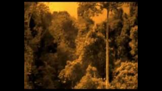 Mursel Murseli - Nuse me lot.avi