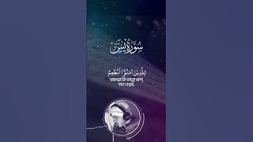 Surah Yaseen  سورة يس‎   Hamza Boudib সূরা ইয়া সীন   القارئ حمزة بوديب