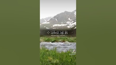 قرآن كريم || حالات واتس اب #راحه_نفسيه_Quran #اكتب_شيئ_تؤجر_عليه🌿🕊