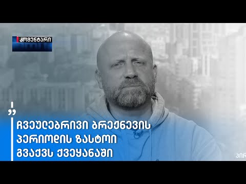 ზურაბ ჯაფარიძის წინასაარჩევნო შეფასებები