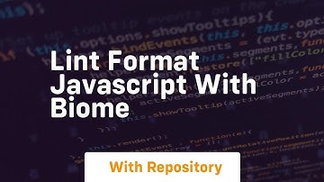 lint format javascript with biome