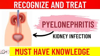 What is Pyelonephritis | All you need to know | Causes | Symptoms | Diagnosis | Treatment