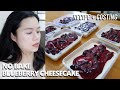 No Bake Blueberry Cheesecake | with costing