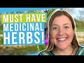 5 must have herbs for your medicinal herb garden